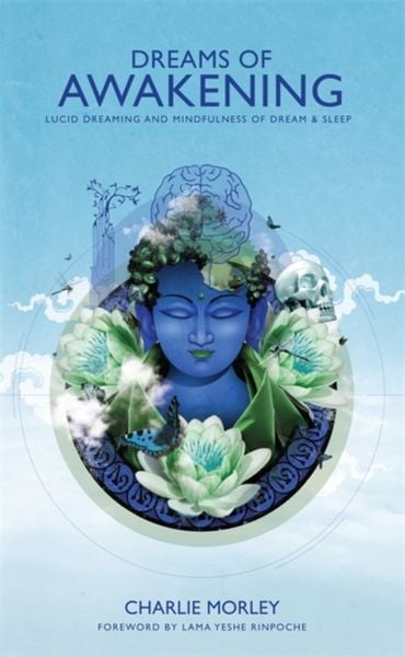 Produktbild: Dreams of Awakening