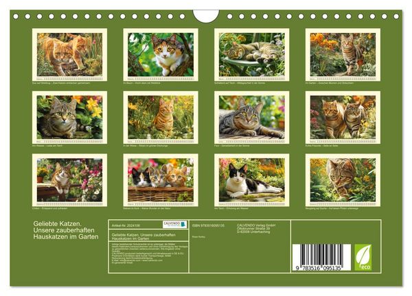 Produktbild: Geliebte Katzen. Unsere zauberhaften Hauskatzen im Garten (Wandkalender 2026 DIN A4 quer), CALVENDO Monatskalender