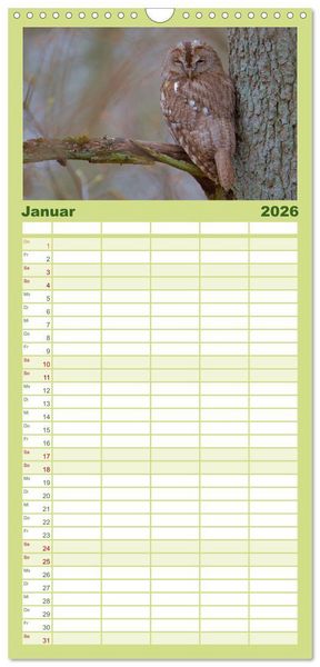 Produktbild: Familienplaner 2026 - geliebte Waldgeister mit 5 Spalten (Wandkalender, 21 x 45 cm) CALVENDO