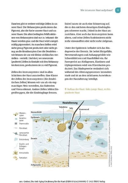 Produktbild: Die Anti-Aging-Ern&auml;hrung f&uuml;r die Haut