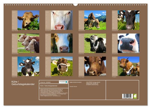 Produktbild: K&uuml;he / Geburtstagskalender (Wandkalender 2026 DIN A2 quer), CALVENDO Monatskalender