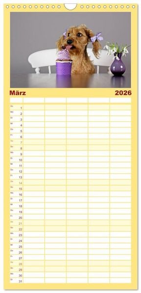 Produktbild: Familienplaner 2026 - DACKELmix Elli Pirelli mit 5 Spalten (Wandkalender, 21 x 45 cm) CALVENDO