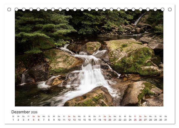 Produktbild: Yakushima - Japans Weltnaturerbe (Tischkalender 2026 DIN A5 quer), CALVENDO Monatskalender