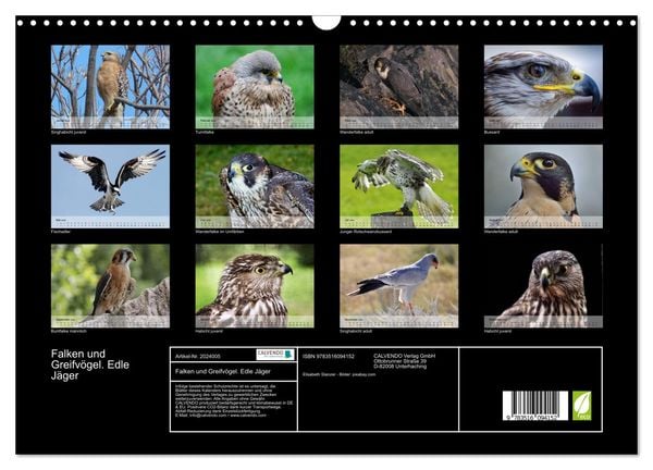 Produktbild: Falken und Greifv&ouml;gel. Edle J&auml;ger (Wandkalender 2026 DIN A3 quer), CALVENDO Monatskalender