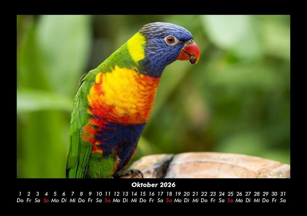 Produktbild: Vogelparadies 2026 Fotokalender DIN A3