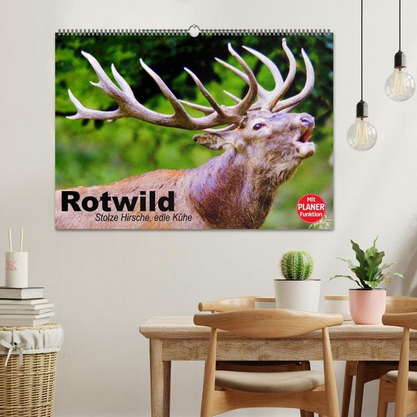 Produktbild: Rotwild. Edle Hirsche, stolze K&uuml;he (Wandkalender 2026 DIN A2 quer), CALVENDO Monatskalender