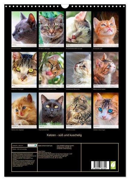 Produktbild: Katzen - s&uuml;&szlig; und kuschelig (Wandkalender 2026 DIN A3 hoch), CALVENDO Monatskalender