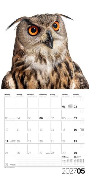 Produktbild: Animals Kalender 2027 - 30x30 - Art12