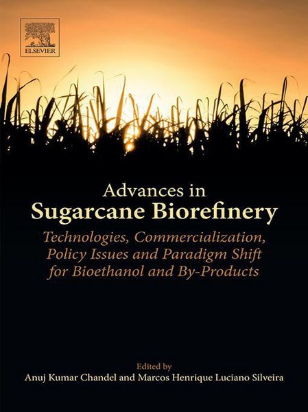 Produktbild: Advances in Sugarcane Biorefinery