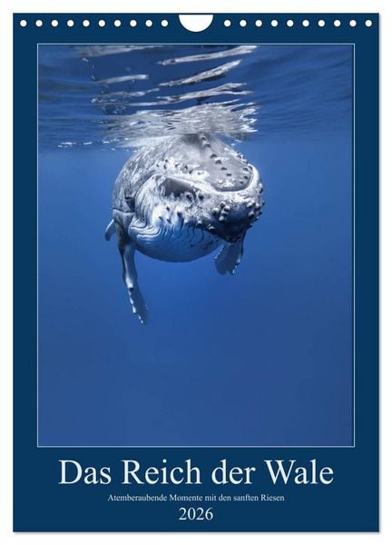 Produktbild: Im Reich der Wale (Wandkalender 2026 DIN A4 hoch), CALVENDO Monatskalender