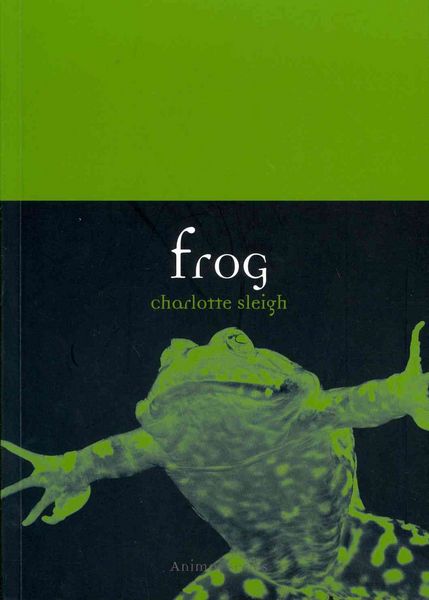 Produktbild: Frog