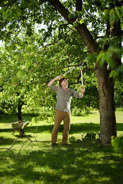 Produktbild: WOLF-Garten 73AGA010650 POWER CUT RS 800V Astschere 75cm Amboss