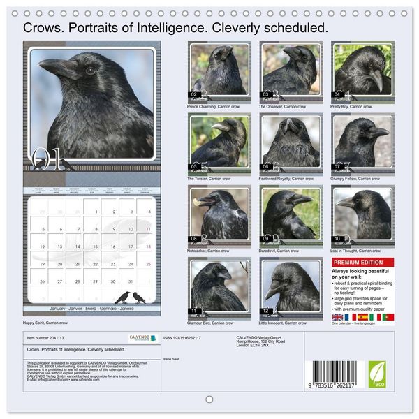 Produktbild: Saar, I: Crows. Portraits of Intelligence. Cleverly schedule