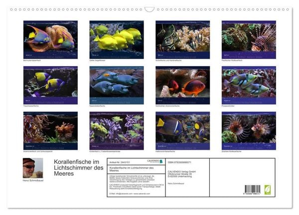 Produktbild: Korallenfische im Lichtschimmer des Meeres (Wandkalender 2027 DIN A2 quer), CALVENDO Monatskalender