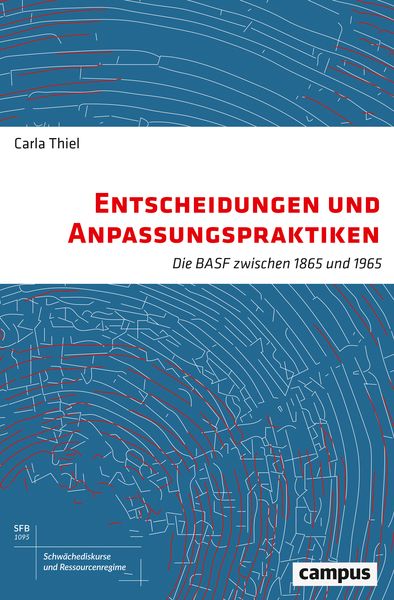 Entscheidungen und Anpassungspraktiken, Taschenbuch von Carla Thiel, Campus, 9783593510750