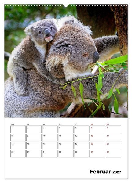 Produktbild: Australiens faszinierende Tierwelt (Wandkalender 2027 DIN A2 hoch), CALVENDO Monatskalender