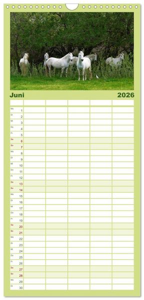 Produktbild: Familienplaner 2026 - Faszination Pferde mit 5 Spalten (Wandkalender, 21 x 45 cm) CALVENDO
