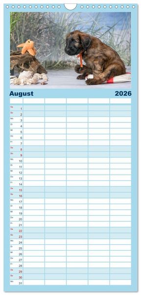 Produktbild: Familienplaner 2026 - Briardbabys in ihren ersten Wochen mit 5 Spalten (Wandkalender, 21 x 45 cm) CALVENDO