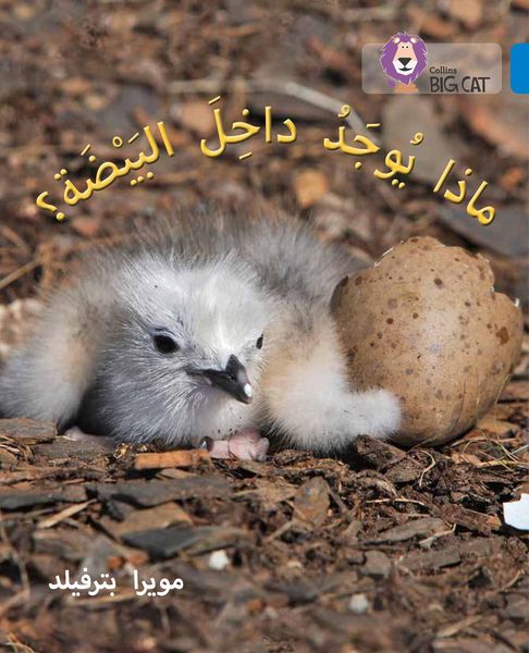 Produktbild: What's in the Egg?