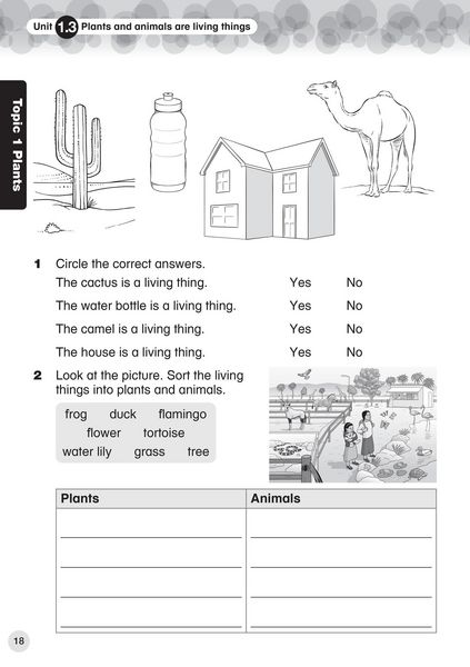 Produktbild: Collins International Primary Science