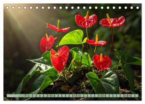 Produktbild: Zimmerpflanzen auf Heimaturlaub (Tischkalender 2027 DIN A5 quer), CALVENDO Monatskalender