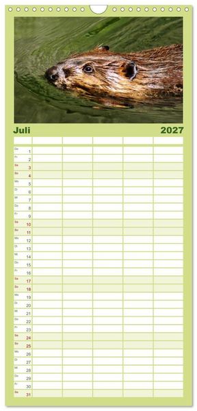 Produktbild: Familienplaner 2027 - Das Leben der Biber mit 5 Spalten (Wandkalender, 21 x 45 cm) CALVENDO