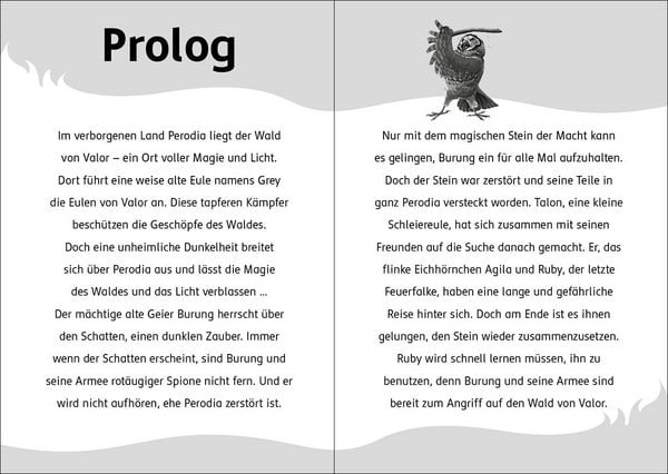 Produktbild: Der letzte Feuerfalke und die dunkle Magie (Band 6)
