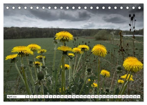 Produktbild: F&uuml;rstenfeldbruck - Streifzug durch Natur und Stadt (Tischkalender 2026 DIN A5 quer), CALVENDO Monatskalender