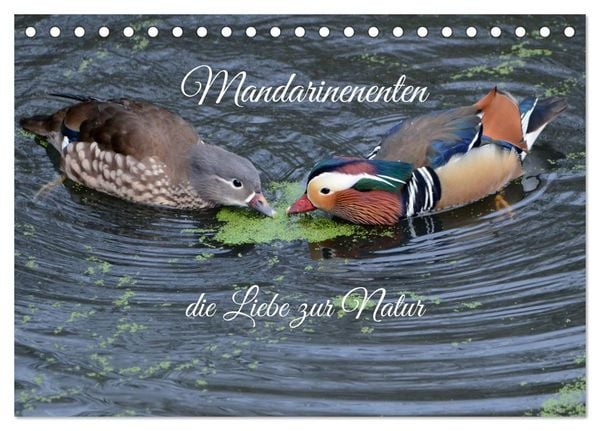 Produktbild: Mandarinenenten, die Liebe zur Natur (Tischkalender 2026 DIN A5 quer), CALVENDO Monatskalender