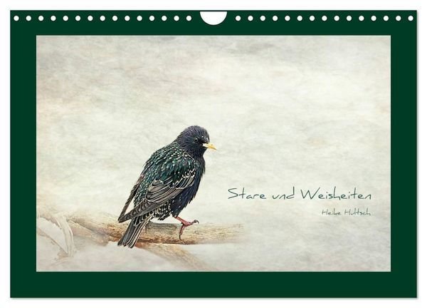Produktbild: Stare und Weisheiten (Wandkalender 2027 DIN A4 quer), CALVENDO Monatskalender