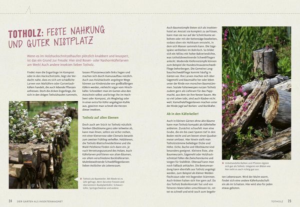 Produktbild: Richtig gute Pflanzen f&uuml;r Insekten