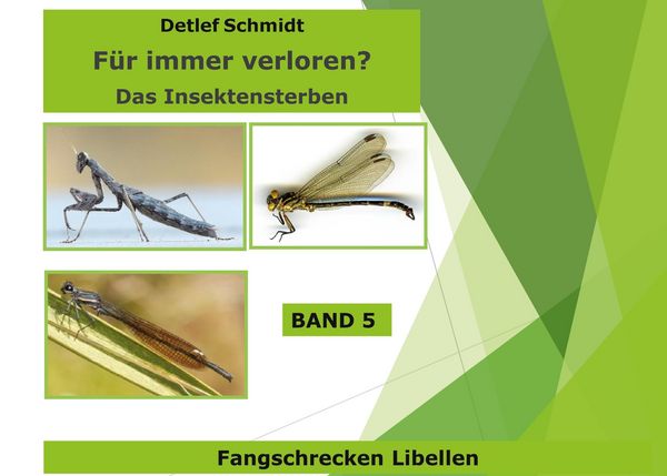 Produktbild: F&uuml;r immer verloren? Band 5