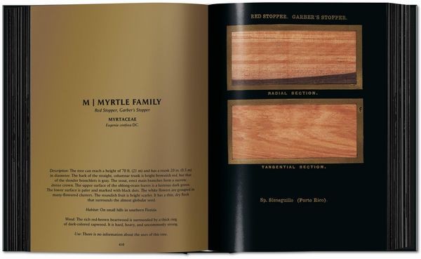 Produktbild: Romeyn B. Hough