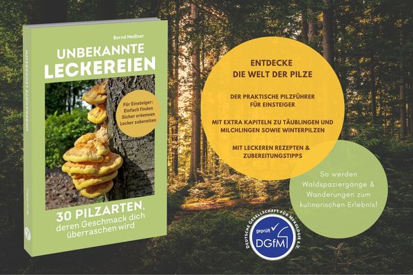 Produktbild: Unbekannte Leckereien: 30 Pilzarten, deren Geschmack dich &uuml;berraschen wird