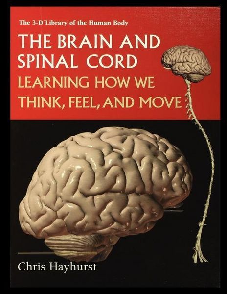 Produktbild: The Brain and Spinal Cord: Learning How We Think, Feel and Move