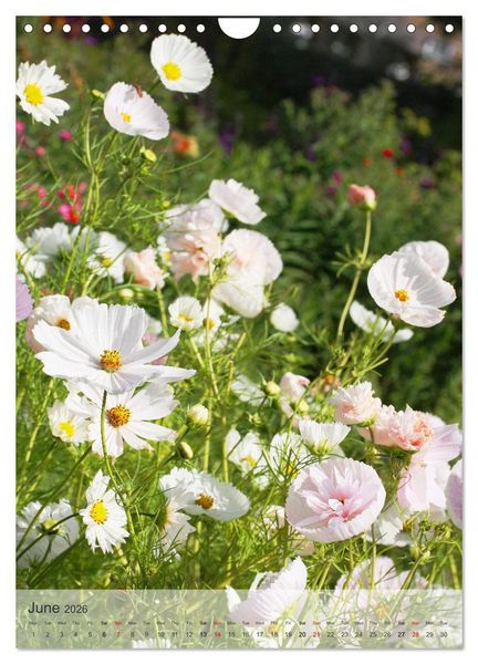 Produktbild: Garden Bliss (Wall Calendar 2026 DIN A4 portrait), CALVENDO 12 Month Wall Calendar