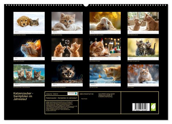 Produktbild: Katzenzauber - Samtpfoten im Jahreslauf (hochwertiger Premium Wandkalender 2026 DIN A2 quer), Kunstdruck in Hochglanz