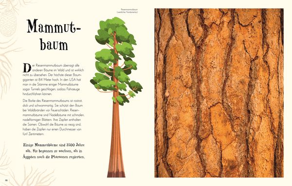 Produktbild: Wundervolle Welt der Natur