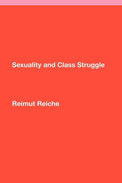 Produktbild: Sexuality and Class Struggle