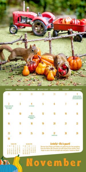 Produktbild: Rose, N: Secret Life of Squirrels Mini Wall Calendar 2025