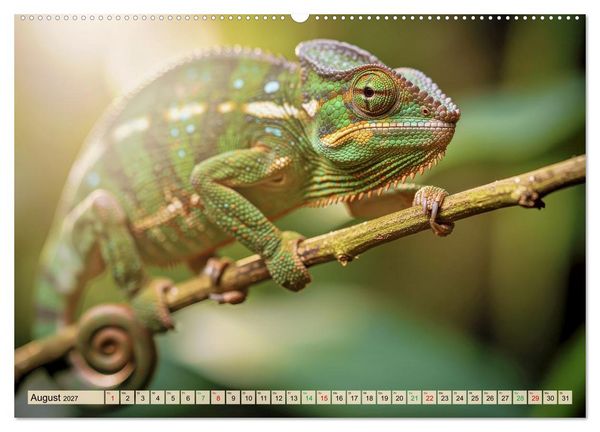 Produktbild: Die buntesten Tiere - Weltweit (Wandkalender 2027 DIN A2 quer), CALVENDO Monatskalender