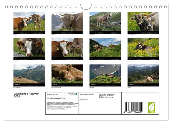 Produktbild: Gl&uuml;ckliches Rindvieh 2026 (Wandkalender 2026 DIN A4 quer), CALVENDO Monatskalender