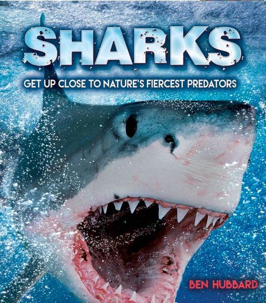 Produktbild: Sharks