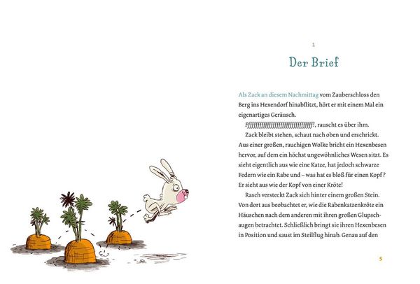 Produktbild: Coco und Zack: Coco und Zack &ndash; Im Internat der Hexentiere