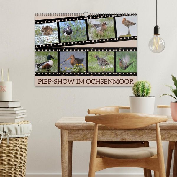 Produktbild: PIEP-SHOW im Ochsenmoor (Wandkalender 2026 DIN A3 quer), CALVENDO Monatskalender