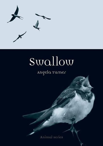 Produktbild: Turner, A: Swallow