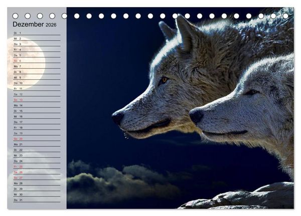 Produktbild: W&ouml;lfe. Graue Eminenzen (Tischkalender 2026 DIN A5 quer), CALVENDO Monatskalender