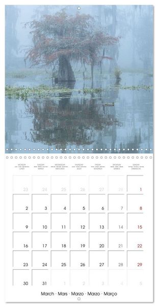 Produktbild: Mississippi Delta, Magic Swamps (Wall Calendar 2026 12 &times; 12 Inch) CALVENDO 12 Month Wall Calendar