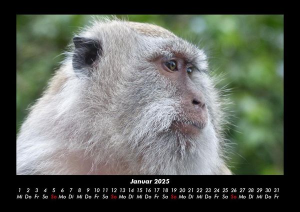 Produktbild: Bali 2025 Fotokalender DIN A3