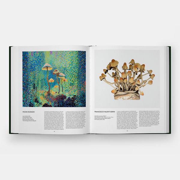 Produktbild: Fungi